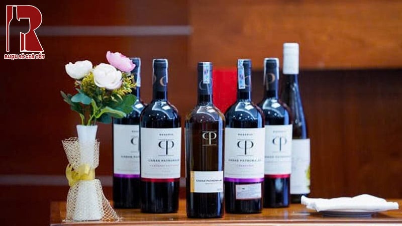 Mua Rượu Vang Chile Đỏ CP Reserva Cao Cấp