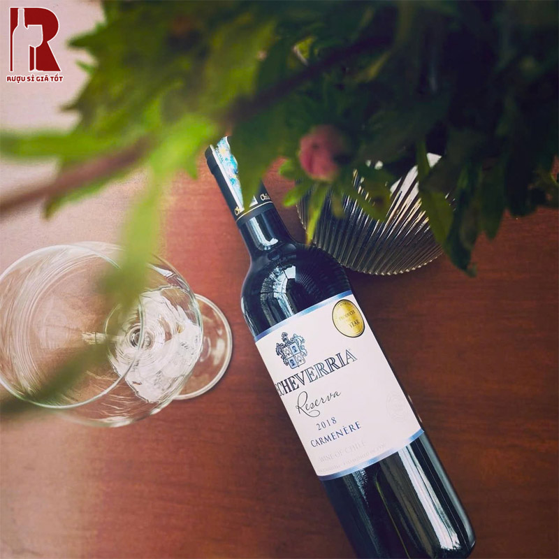 Mua Rượu Vang Chile Đỏ Echeverria Reserva Ở Đâu?