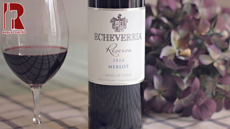 Uống Rượu Vang Chile Đỏ Echeverria Reserva Sành Điệu