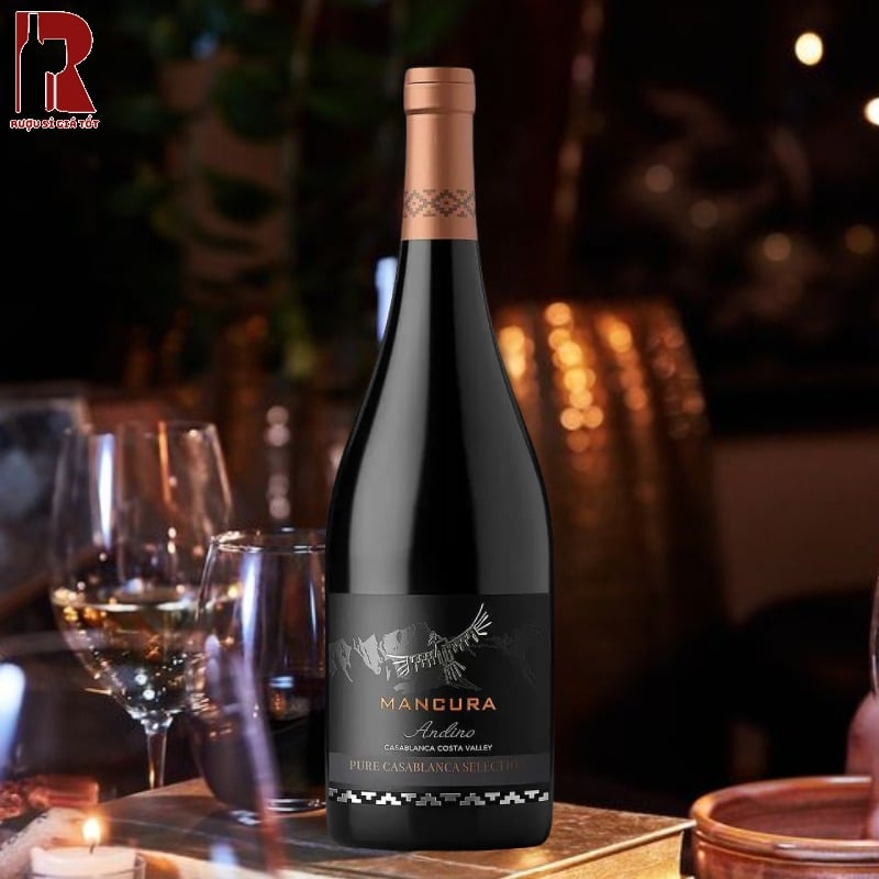 Bảo Quản Rượu Vang Chile Đỏ Mancura Andino Pure Casablanca Selection