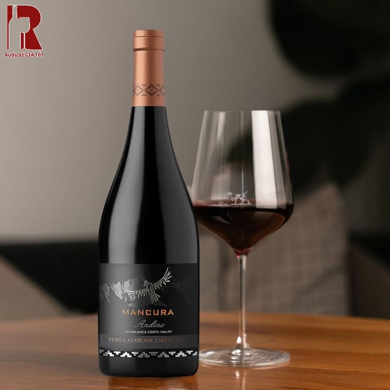 Mua Rượu Vang Chile Đỏ Mancura Andino Pure Casablanca Selection