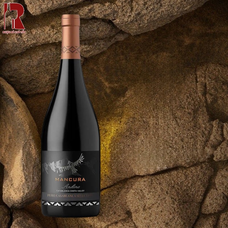 Giá Rượu Vang Chile Đỏ Mancura Andino Pure Casablanca Selection Bao Nhiêu?