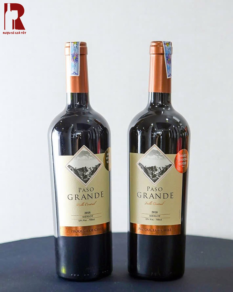 Giá Rượu Vang Chile Đỏ Paso Grande Có Đắt Không?