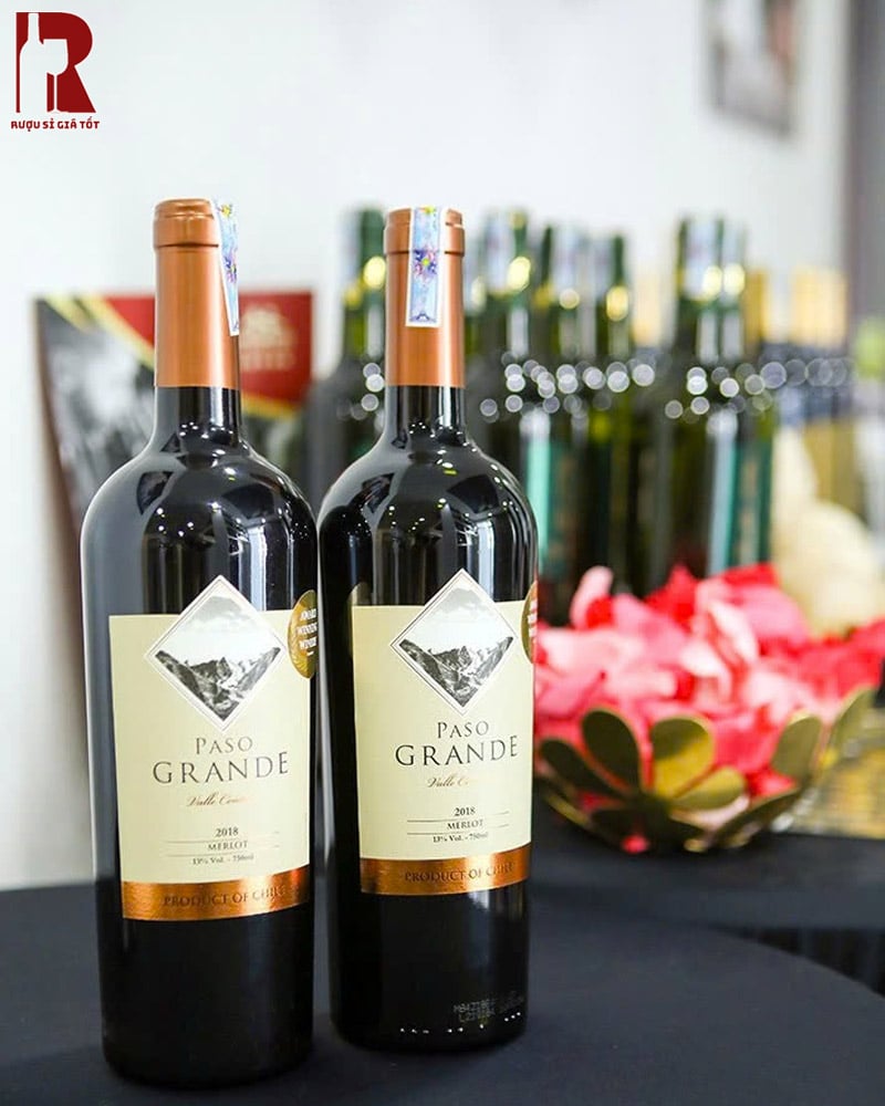 Mua Rượu Vang Chile Đỏ Paso Grande Chất Lượng Cao