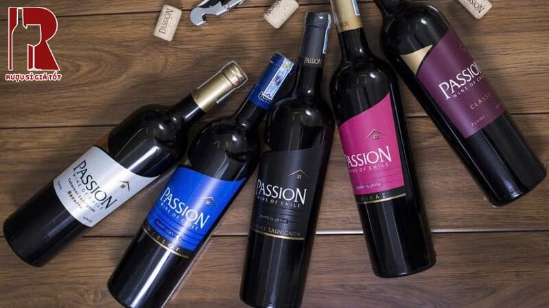 Uống Rượu Vang Chile Đỏ Passion Đúng Cách