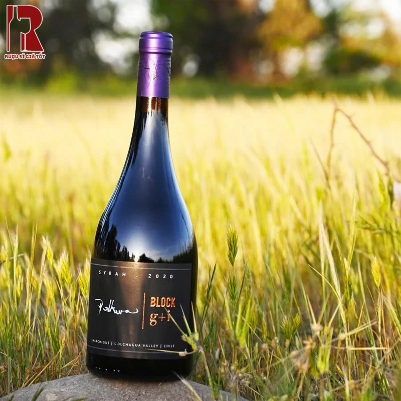 Mua Rượu Vang Chile Đỏ Polkura Block G+I Shiraz Chính Hãng