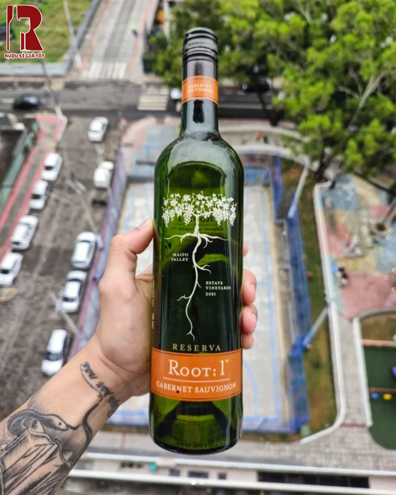 Rượu Vang Chile Đỏ Root1 Ngon Bổ Rẻ