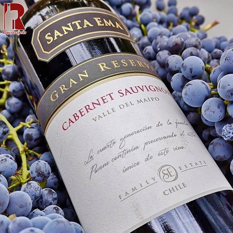 Uống Rượu Vang Chile Đỏ Santa Ema Gran Reserva Sành Điệu