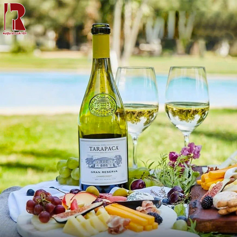 Thưởng Thức Rượu Vang Chile Đỏ Tarapaca Gran Reserva
