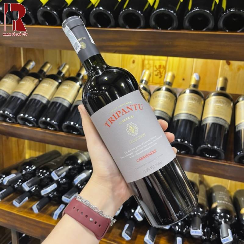 Kết Hợp Món Ăn Với Rượu Vang Chile Đỏ Tripantu Selection