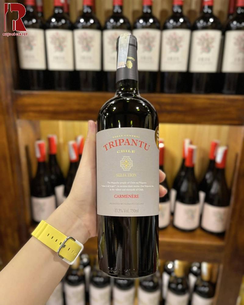 Giá Rượu Vang Chile Đỏ Tripantu Selection Mới Nhất