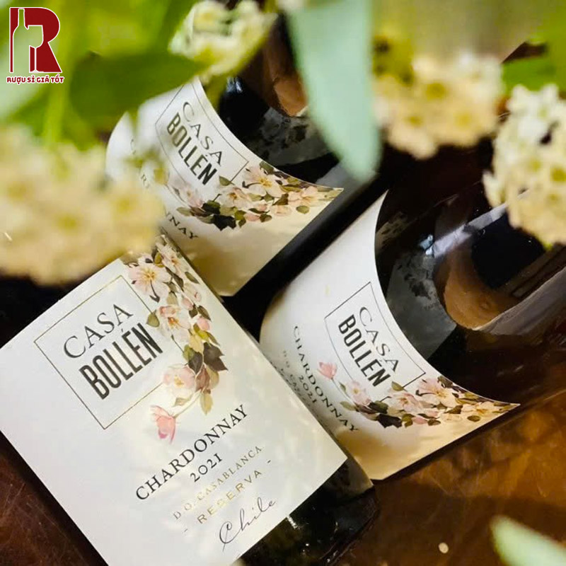Bảo Quản Rượu Vang Chile Trắng Casa Bollen Reserva Chardonnay