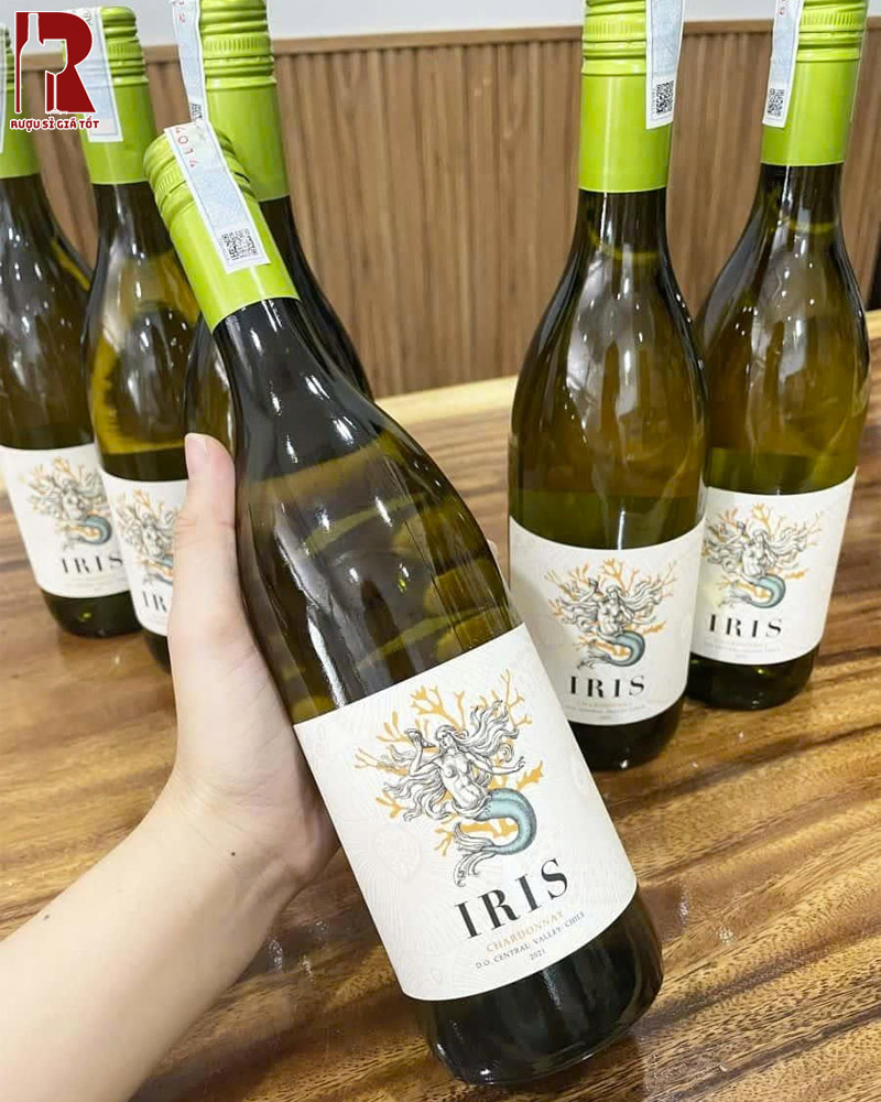 Hương Vị Rượu Vang Chile Trắng IRIS Reserva Chardonnay
