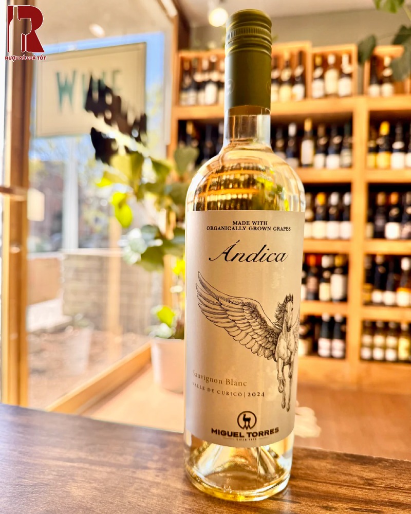 Rượu Vang Chile Trắng Miguel Torres Andica Reserva Chất Lượng Cao