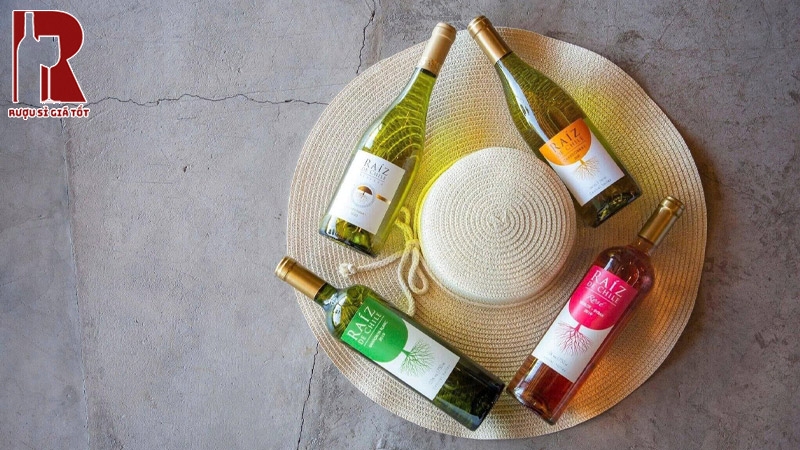 Các Loại Rượu Vang Chile Trắng Raiz De Chile