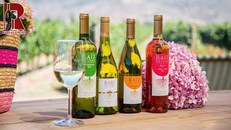 Mua Rượu Vang Chile Trắng Raiz De Chile Giá Rẻ