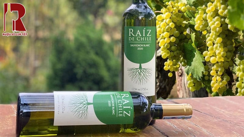 Giá Rượu Vang Chile Trắng Raiz De Chile Bao Nhiêu?