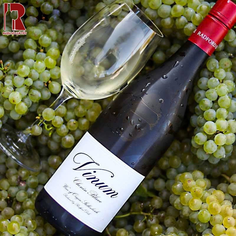 Rượu Vang Nam Phi Trắng Radford Dale Vinum Giá Mới Nhất