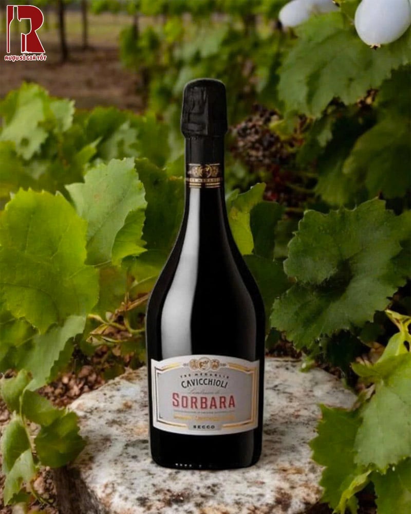 Mua Rượu Vang Nổ Cavicchioli Lambrusco Grasparossa Chất Lượng Cao