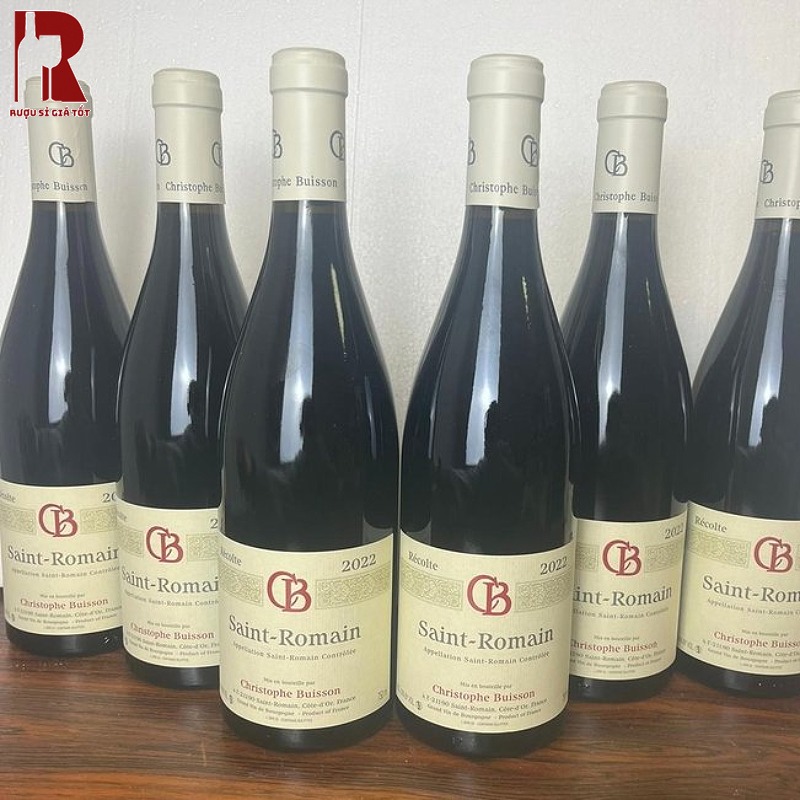Rượu Vang Pháp Đỏ Christophe Buisson Saint Romain Rouge Giá Tốt