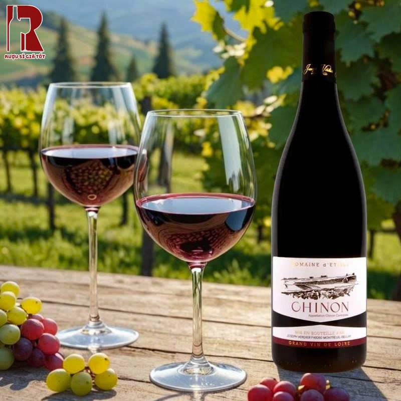 Hương Vị Rượu Vang Pháp Đỏ Domaine d'Etilly Chinon