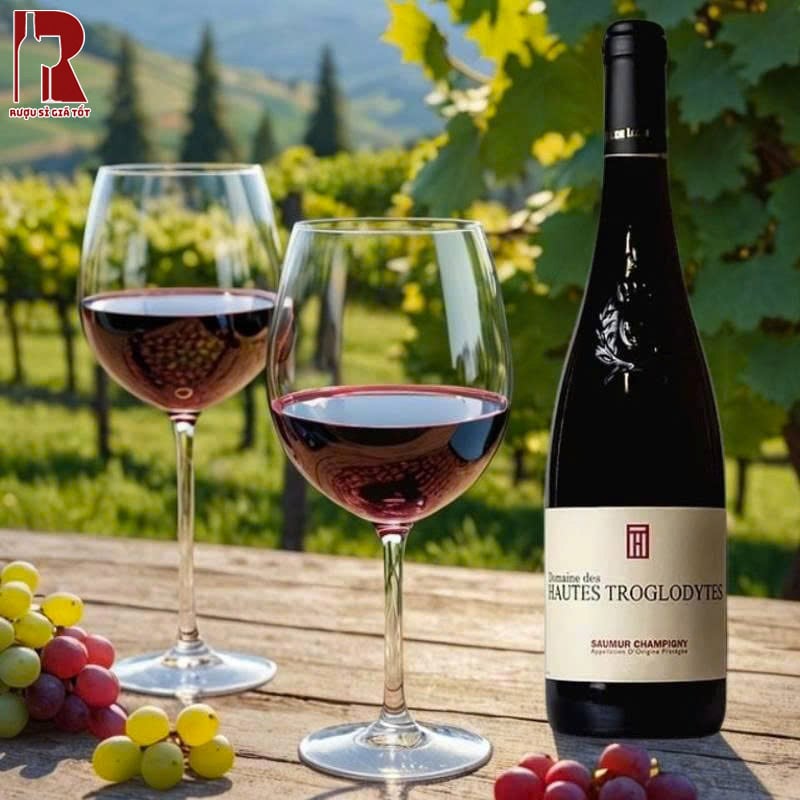 Uống Rượu Vang Pháp Đỏ Domaine des Hautes Troglodytes Saumur Champigny Đúng Cách
