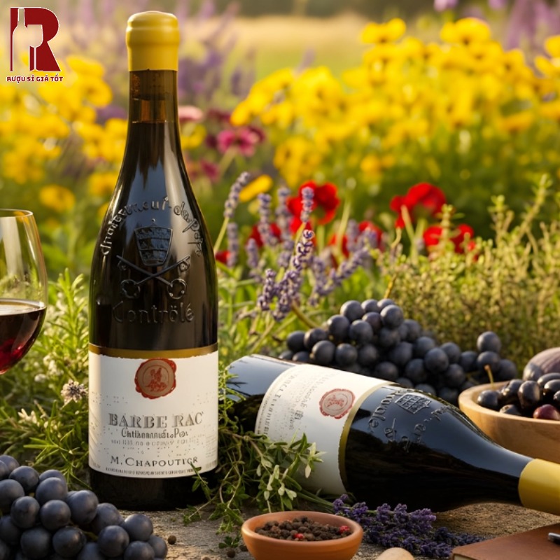 Rượu Vang Pháp Đỏ M.Chapoutier Chateauneuf du Pape Barbe Rac Cao Cấp