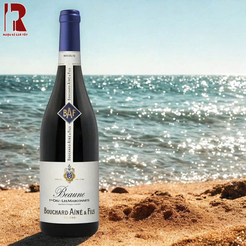 Rượu Vang Pháp Đỏ Savigny Lès Beaune 1er Cru Les Marconnets Cao Cấp