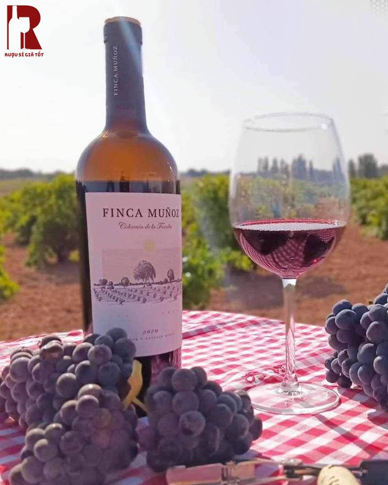 Rượu Vang Tây Ban Nha Đỏ Finca Mulfoz Giá Cao Không?