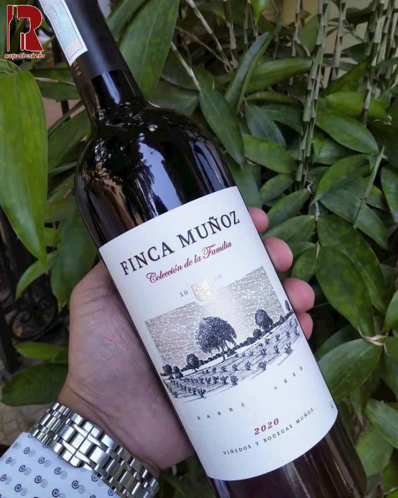 Hương Vị Rượu Vang Tây Ban Nha Đỏ Finca Mulfoz