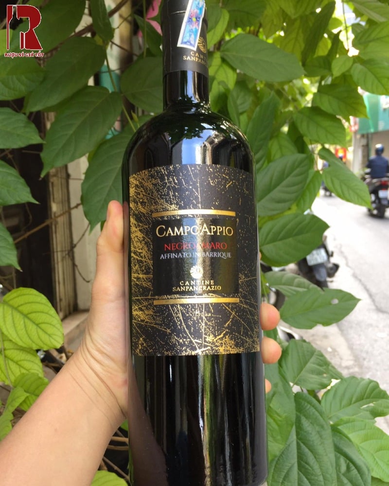 Rượu Vang Ý Đỏ Campo Appio Negroamaro Puglia IGT Nhập Khẩu Chính Ngạch