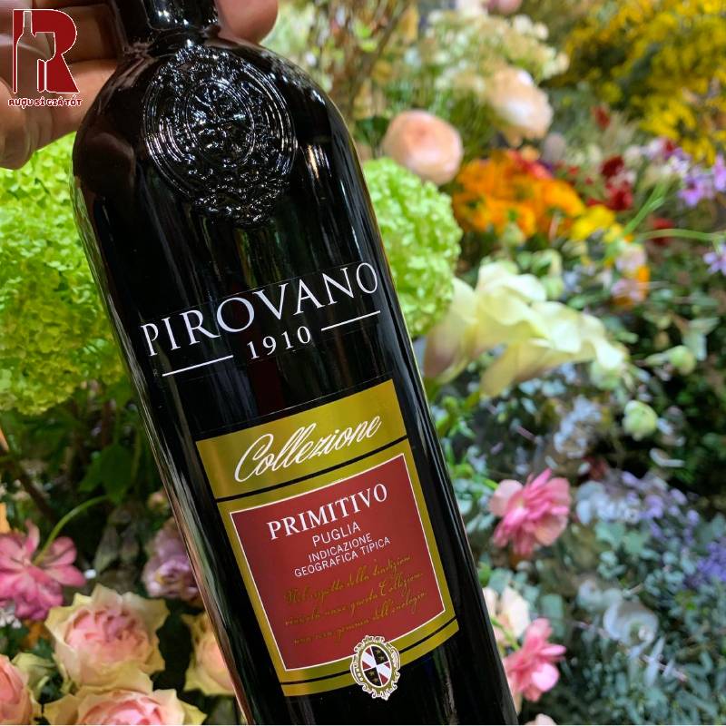 Uống Rượu Vang Ý Đỏ Pirovano Sành Điệu