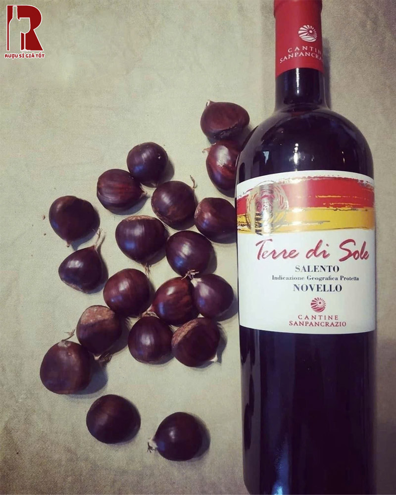 Rượu Vang Ý Đỏ Terre Di Sole Novello Puglia IGT Giá Hiện Tại