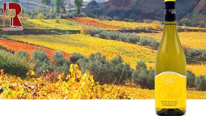 Giá Rượu Vang Ý Trắng Club Hiện Nay