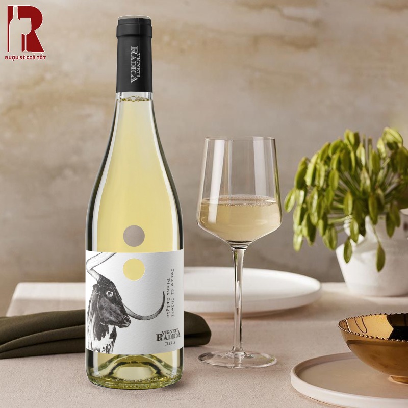 Mua Rượu Vang Ý Trắng Terre Di Chieti Pinot Grigio Uy Tín Tại Việt Nam