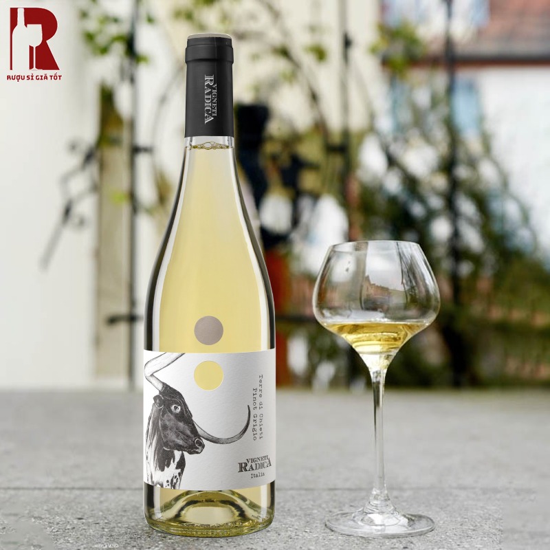 Giá Rượu Vang Ý Trắng Terre Di Chieti Pinot Grigio Hiện Nay