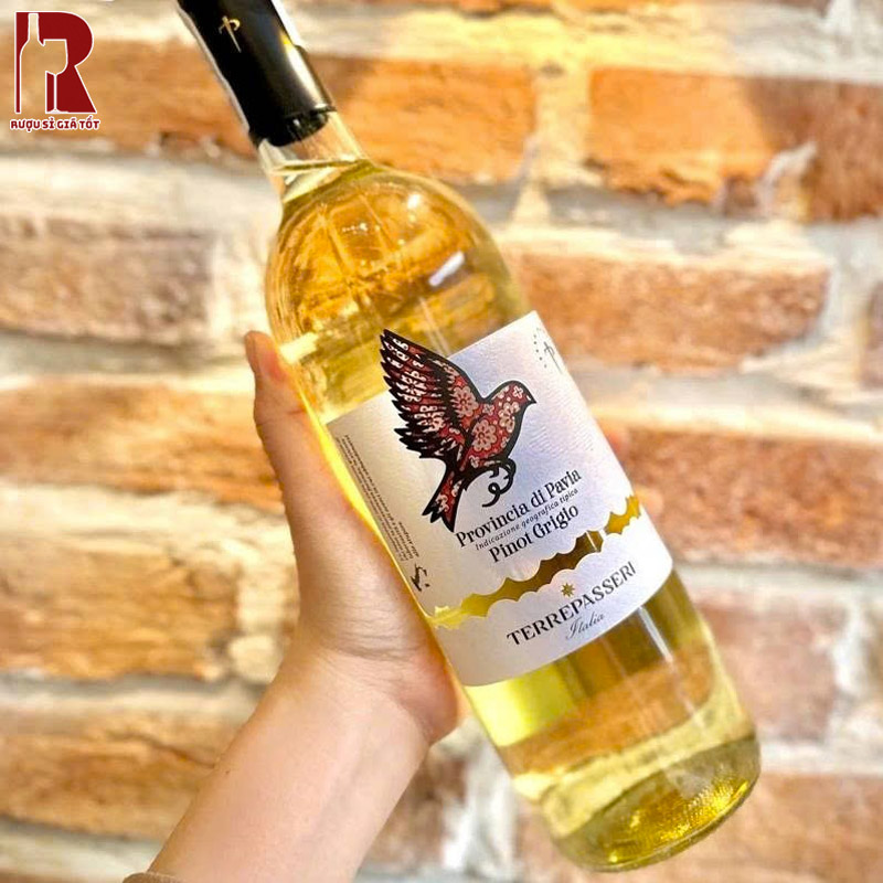 Rượu Vang Ý Trắng Terre Passeri Cantine Pirovano Hảo Hạng