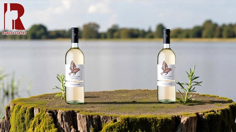 Mua Rượu Vang Ý Trắng Terre Passeri Cantine Pirovano Tại Việt Nam