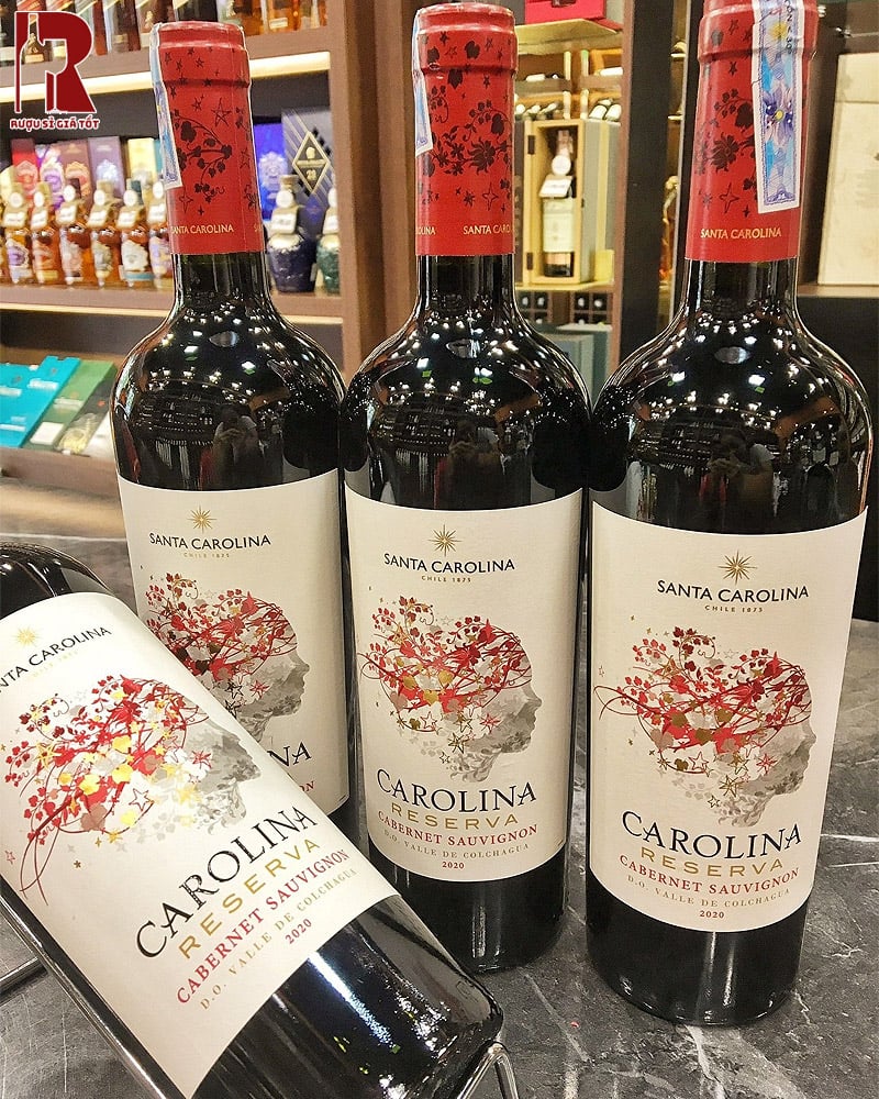 Rượu Vang Colchagua Valley thường mang đến hương vị đậm đà, phong phú và cân bằng