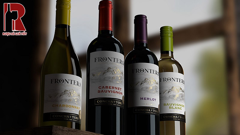 Montes Winery hay Vina Santa Cruz là các thương hiệu nổi tiếng từ vùng Colchagua Valley