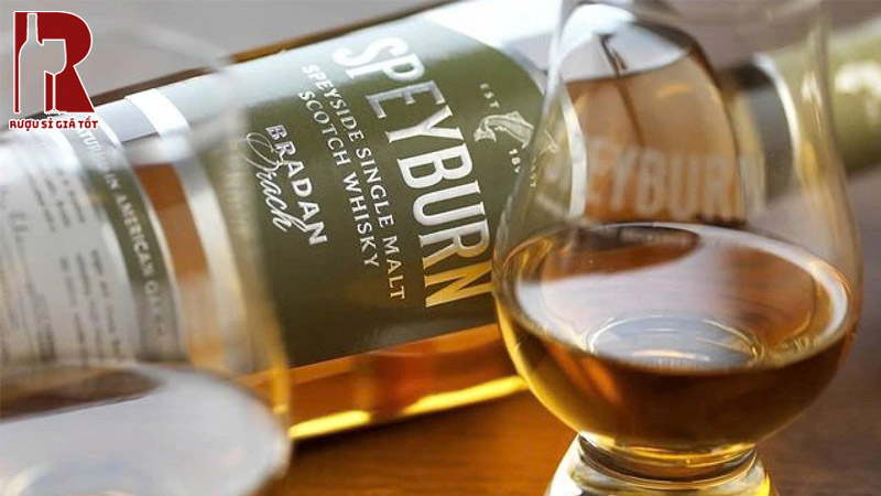 Rượu Whisky Speyburn 10 Năm Cao Cấp