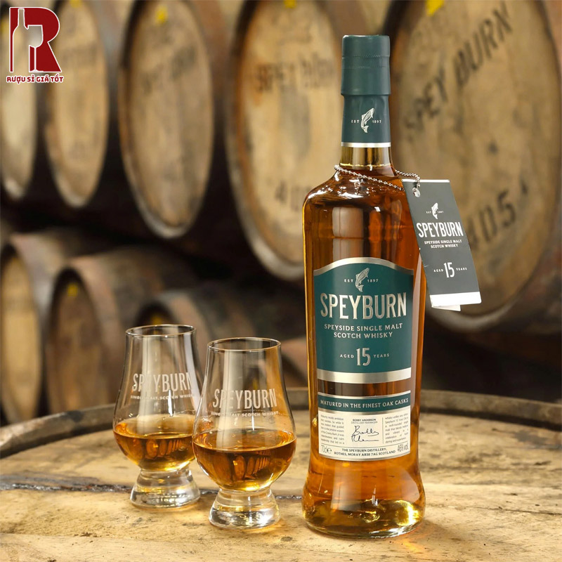 Uống Rượu Whisky Speyburn 15 Năm Sành Điệu