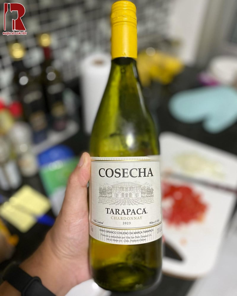 Cảm Nhận Hương Vị Tarapaca Cosecha