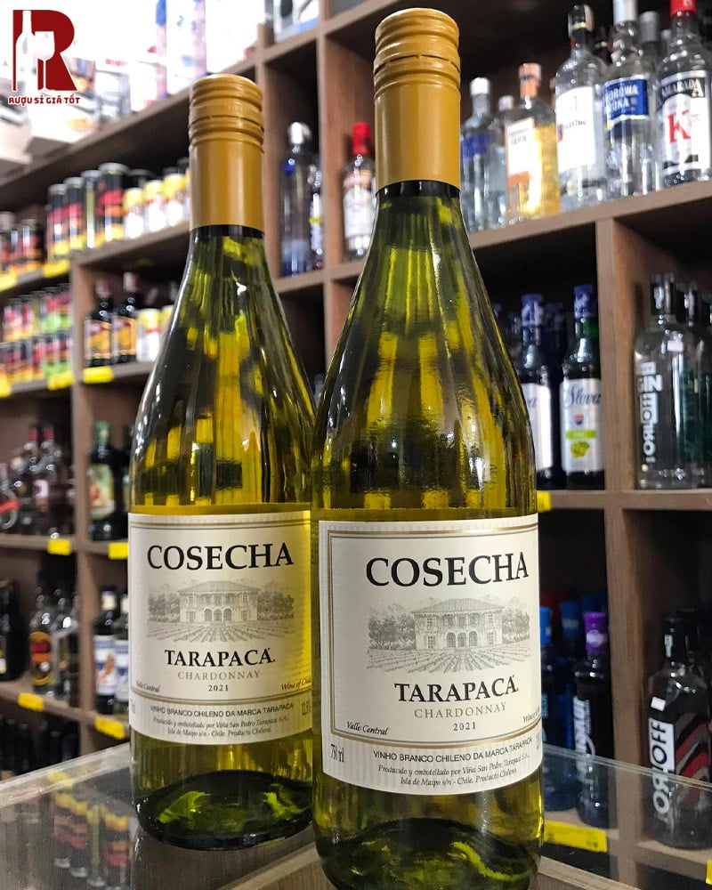 Mua Rượu Tarapaca Cosecha Cao cấp