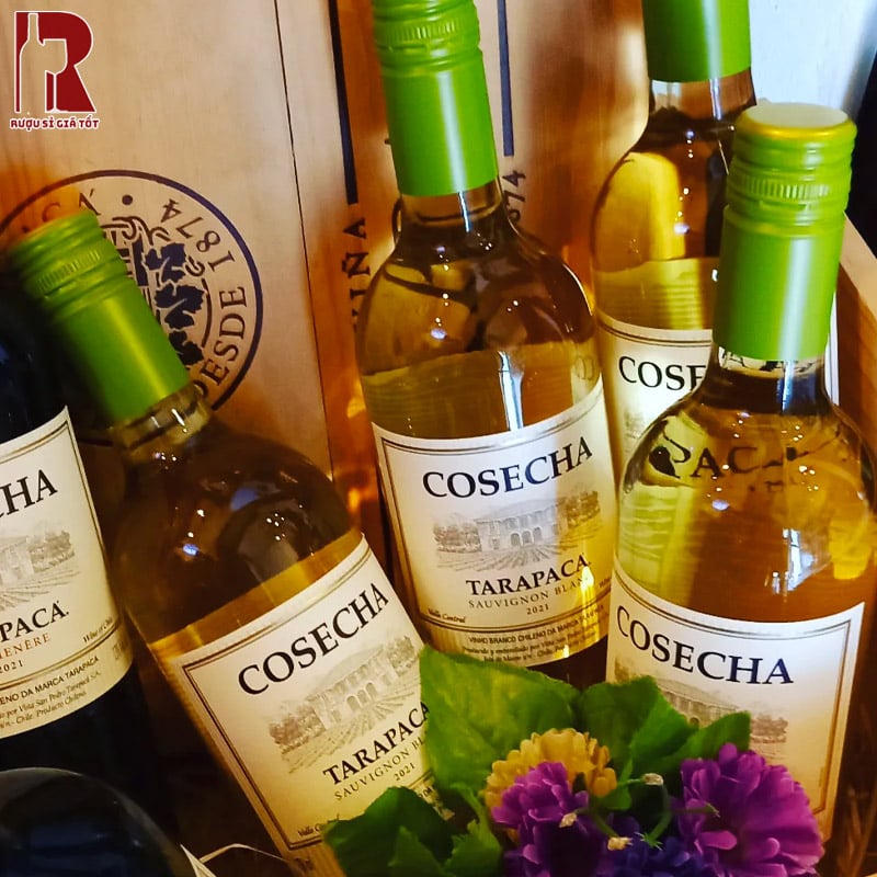 Giá Vang Tarapaca Cosecha Bao Nhiêu?