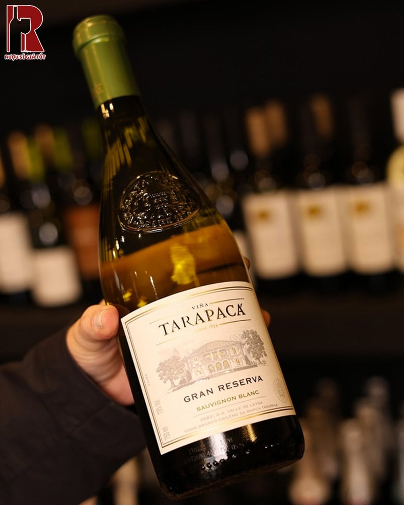 Thiết Kế Chai Vang Tarapaca Gran Reserva