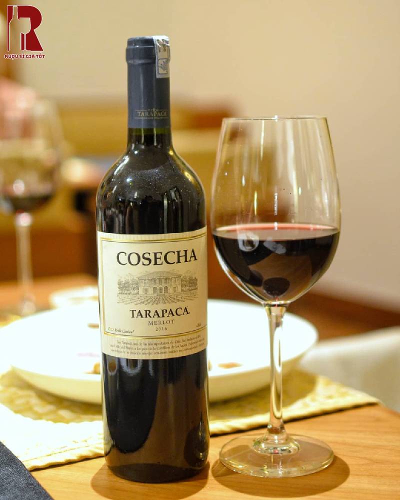 Rượu Vang Chile Tarapaca Cosecha