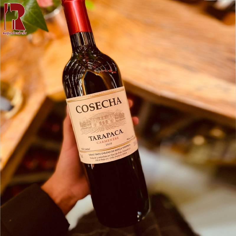 Rượu Vang Tarapaca Cosecha
