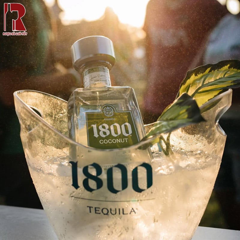 Tequila 1800 Reserva Coconut