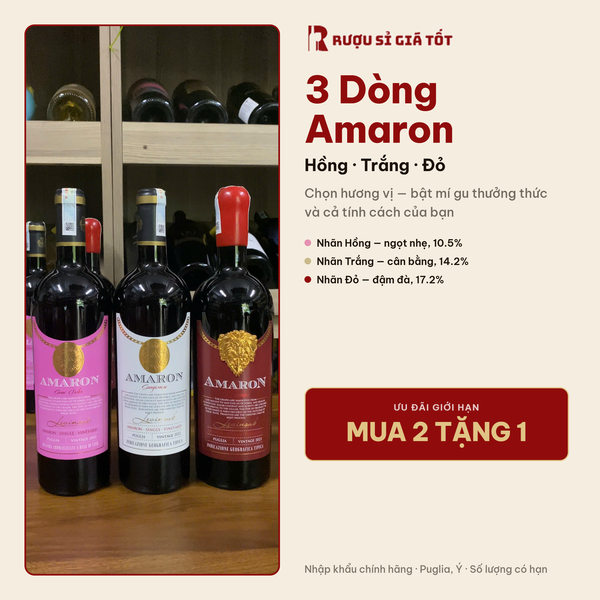 3 Dòng Vang Amaron Ý Puglia, Ưu Đãi Mua 2 Tặng 1 Sốc